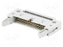 Plug; IDC; male; PIN: 26; IDC; for ribbon cable; 1.27mm; gold-plated