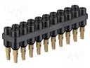 Socket strip; Connector: 2mm banana; black; 70VDC; 10A; 33VAC; 6mm