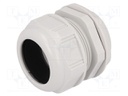 Cable gland; PG48; IP68; Mat: polyamide; light grey; UL94V-2