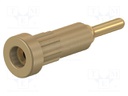 Socket; 2mm banana; 10A; Overall len: 24.5mm; brown; insulated