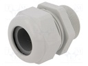 Cable gland; with long thread; M32; IP68; Mat: polyamide; UL94V-0