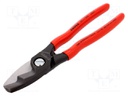 Pliers; with double blade