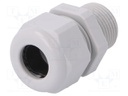 Cable gland; with long thread; M20; IP68; Mat: polyamide; grey