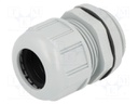 Cable gland; M32; IP68; Mat: polyamide; dark grey; UL94V-2