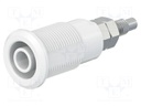 Socket; 4mm banana; 32A; grey; nickel plated; Overall len: 38.5mm