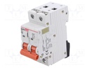 Circuit breaker; 230/400VAC; Inom: 4A; Poles: 2; Charact: C; 6kA