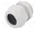 Cable gland; with thread PG; PG29; IP68; Mat: polyamide