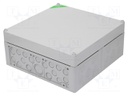 Enclosure: junction box; X: 300mm; Y: 300mm; Z: 132mm; polycarbonate