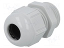 Cable gland; PG11; IP68; Mat: polyamide; light grey