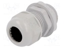 Cable gland; PG16; IP65; Mat: polyamide; grey