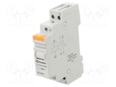 Relay: installation; monostable; NO x2; Ucoil: 240VAC; DIN; 20A