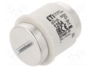 Fuse: fuse; gG; 125A; 500VAC; 500VDC; ceramic; DV; D