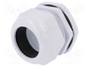 Cable gland; PG42; IP67; Mat: polyamide; grey