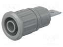 Socket; 4mm banana; 32A; 1kV; grey; nickel plated; on panel