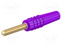 Plug; 2mm banana; 10A; 30VAC; 60VDC; violet; gold-plated; Ø: 0.5mm