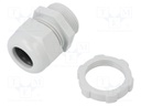 Cable gland; with thread PG; PG21; IP68; Mat: polyamide