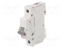 Circuit breaker; 230/400VAC; DIN; Charact: B; 10kA; IP20; 1÷25mm2