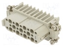 Connector: HDC; contact insert; female; CD; PIN: 25; 25+PE; 10A; 600V