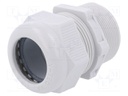 Cable gland; with metric thread,with long thread; M40; IP68