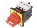 Main emergency switch-disconnector; Poles: 3; 12A; TeSys VARIO