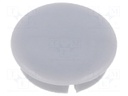 Cap; Colour: grey; Mounting: push-in; Mat: plastic