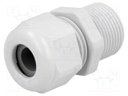 Cable gland; with long thread; PG13,5; IP68; Mat: polyamide