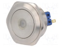 Switch: vandal resistant; Pos: 2; SPDT; 3A/220VAC; 5A/24VDC; IP65