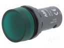 Control lamp; 22mm; green