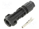 Connector: solar; male; 4÷6mm2; with contacts; crimped; SOLARLOK