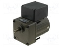 Motor: AC; 1-phase; 25W; 230VAC; 1250rpm; 7.5rpm; 2.5kg; IP54; 280mA