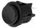 Switch: push-button; Pos: 2; DPST-NO; 16A/250VAC; black; none; 50mΩ