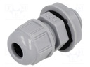 Cable gland; PG7; IP68; Mat: polyamide; dark grey; UL94V-2