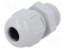 Cable gland; PG9; IP68; Mat: polyamide; light grey