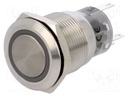 Switch: vandal resistant; Pos: 2; SPDT; 0.5A/220VAC; 1A/24VDC; IP67