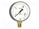 Manometer; 160mm; Features: lower position of the sensor; IP54