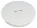 Stopper; PG42; IP54; Mat: polystyrene; light grey