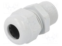 Cable gland; with thread PG,with long thread; PG16; IP68