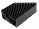 Heatsink: extruded; grilled; black; L: 1000mm; W: 160mm; H: 82mm