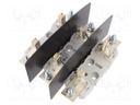 Fuse base; NH1; Mounting: screw type; 250A; 690VAC