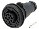 Connector: circular; plug; female; PIN: 9; Buccaneer Standard; IP68