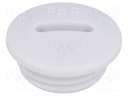 Stopper; PG9; IP54; Mat: polyamide; grey; Man.series: V-N-FS