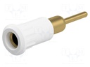 Socket; 4mm banana; 25A; 30VAC; 60VDC; white; gold-plated; on panel