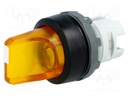 Switch: rotary; Stabl.pos: 2; 22mm; yellow; Illumin: MLB-1; IP66