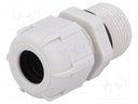 Cable gland; with long thread; PG13,5; IP68; Mat: polyamide; grey