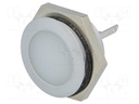 Indicator: LED; flat; 12÷14VDC; Cutout: Ø22mm; IP67; metal