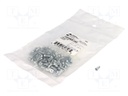 Set of screws; 100pcs.