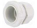 Cable gland; PG21; IP68; Mat: polyamide; grey; UL94V-2; 18.6mm