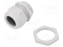 Cable gland; with thread PG; PG36; IP68; Mat: polyamide