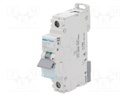 Circuit breaker; 230/400VAC; Inom: 32A; Poles: 1; DIN; Charact: C