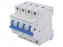 Circuit breaker; 230/400VAC; Inom: 6A; Poles: 3+N; Charact: C; 4.5kA